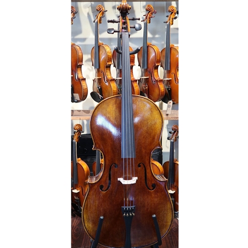 Global Antiqued IC70 Cello